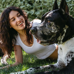 Pet Insurance Plan Dog Coverage Examples